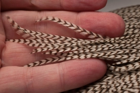 Good size for dries Good size for dries