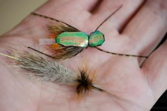 Crazy flies Crazy flies