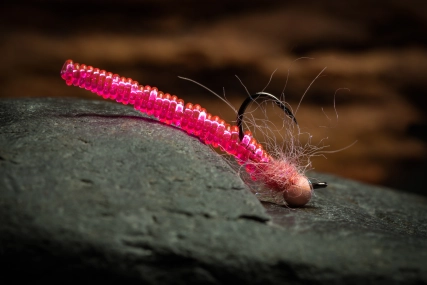 Pink Springtail Pink Springtail