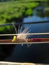 Foamhead CDC & Elk Foamhead CDC & Elk