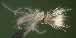 Crippled CDC & Elk Crippled CDC & Elk