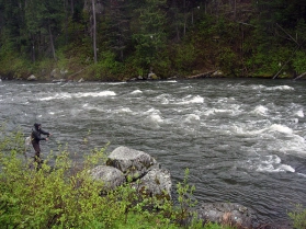 May/June hatch May/June hatch