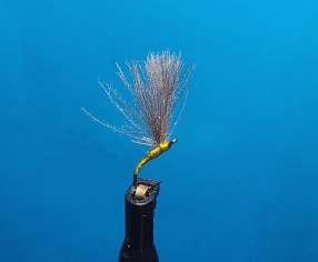 CDC Stuck Dun size 22 CDC Stuck Dun size 22