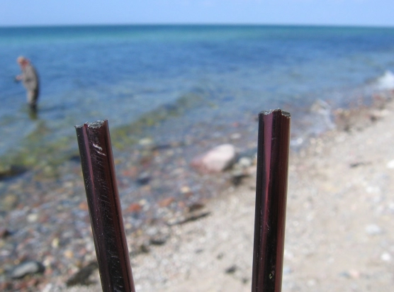 Step on it! - image Step on it! - image