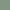 One Mallard Shrimp