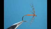 Video thumb for Partridge & Orange